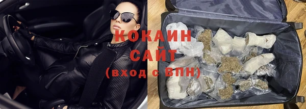 гашик Мегион
