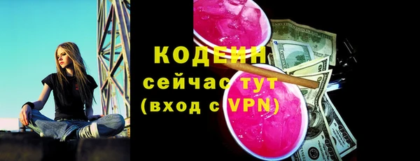 индика Медногорск