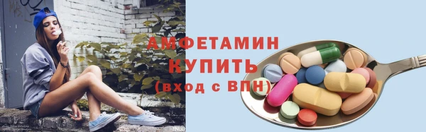индика Медногорск