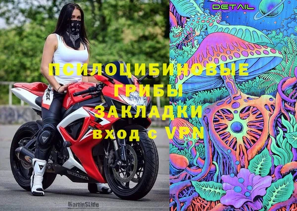 гашик Мегион