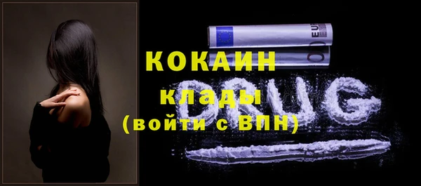 индика Медногорск