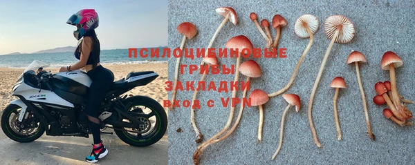 PSILOCYBIN Вяземский