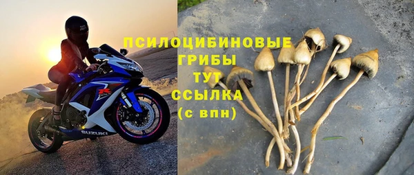 PSILOCYBIN Вяземский