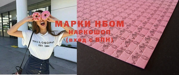 индика Медногорск