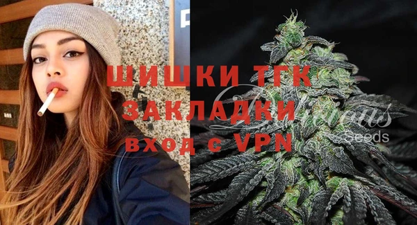 гашик Мегион