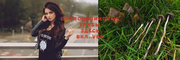 МДПВ Михайловск