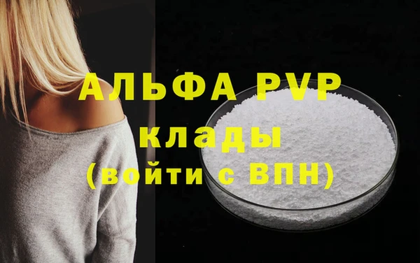 индика Медногорск