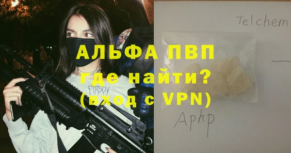 гашик Мегион
