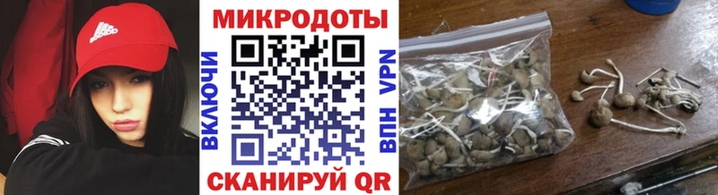 Галлюциногенные грибы GOLDEN TEACHER  закладки  Касли 
